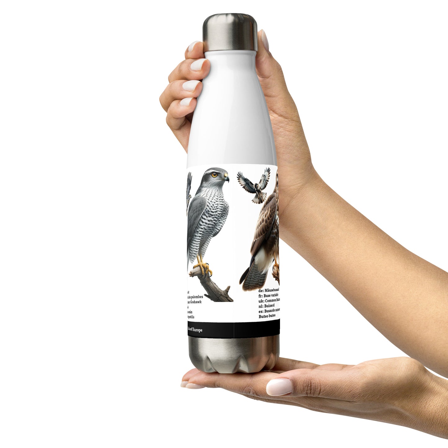 500ml Stainless steel water bottle Birds of Europe 01 Buzzard, Kestrel, N.Goshawk