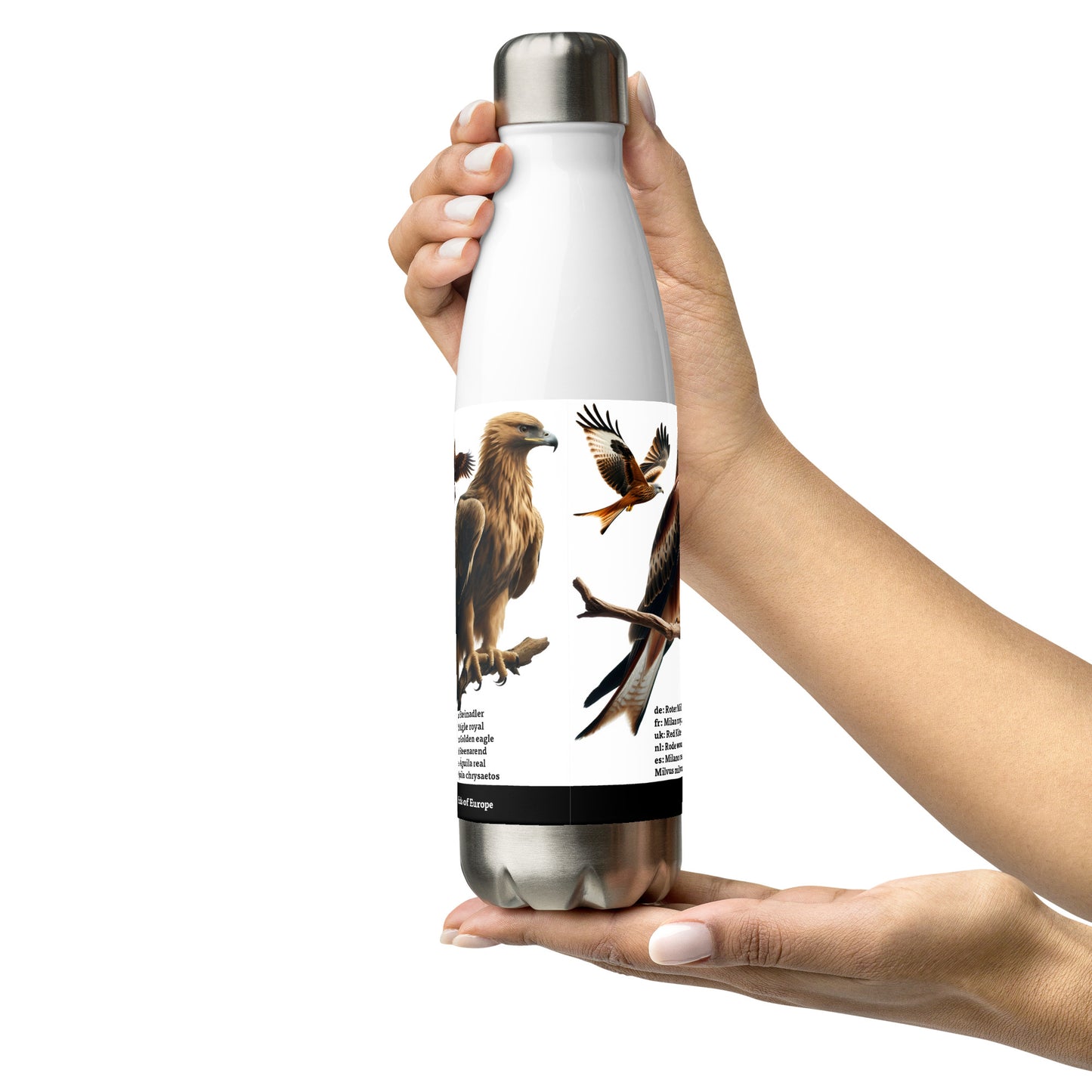 500ml Stainless steel water bottle Birds of Europe 02 Red Kite, Per. Falcon, Golden Eagle