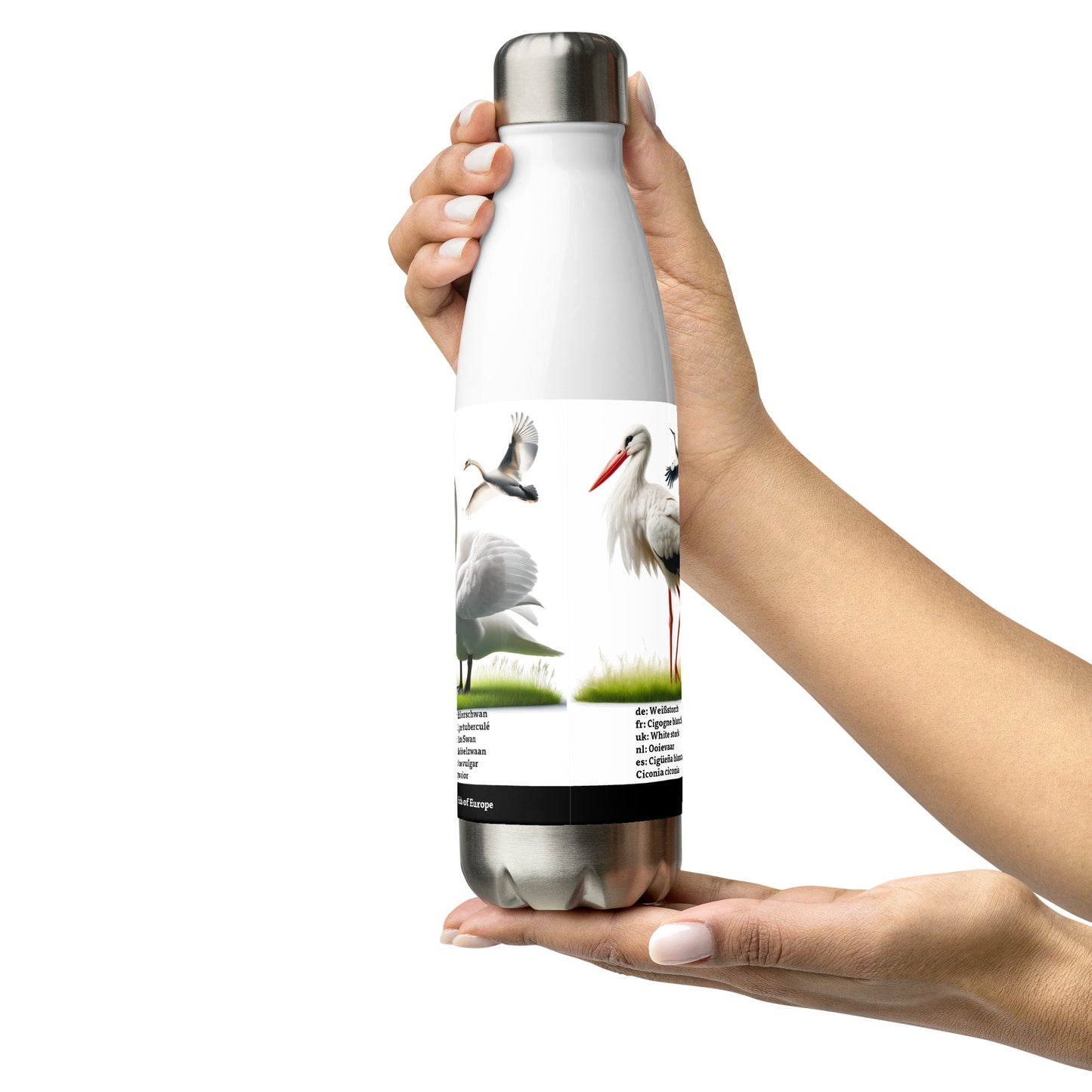 500ml Stainless steel water bottle Birds of Europe 03 White Stork, Grey Heron, Mute Swan