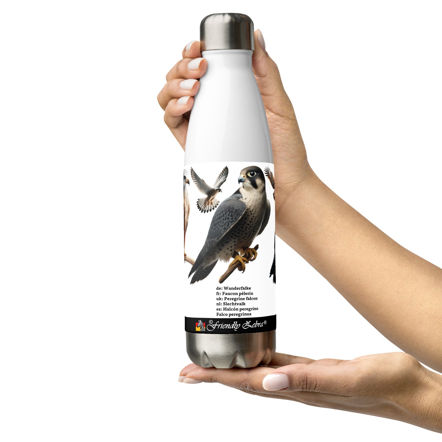 500ml Stainless steel water bottle Birds of Europe 02 Red Kite, Per. Falcon, Golden Eagle