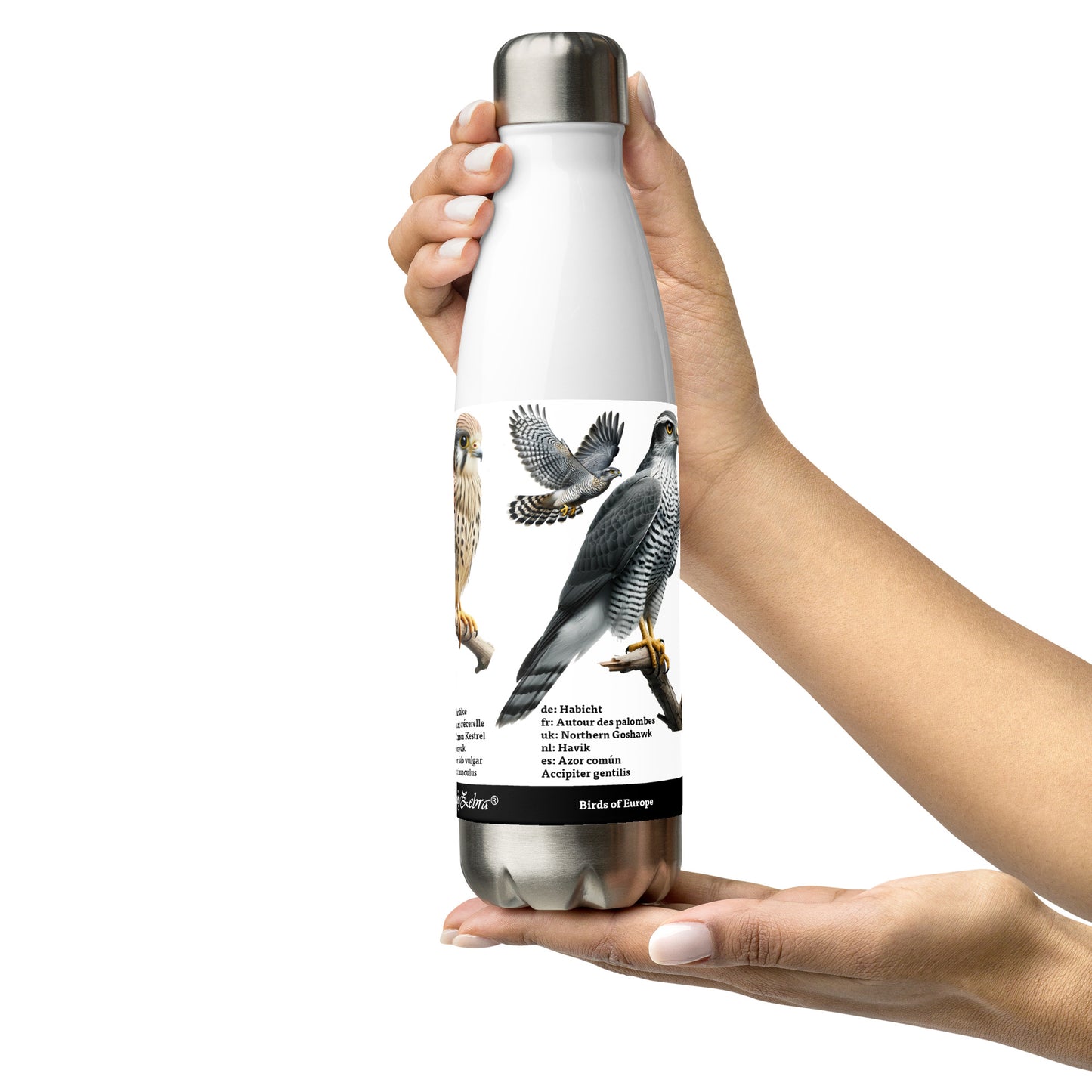 500ml Stainless steel water bottle Birds of Europe 01 Buzzard, Kestrel, N.Goshawk