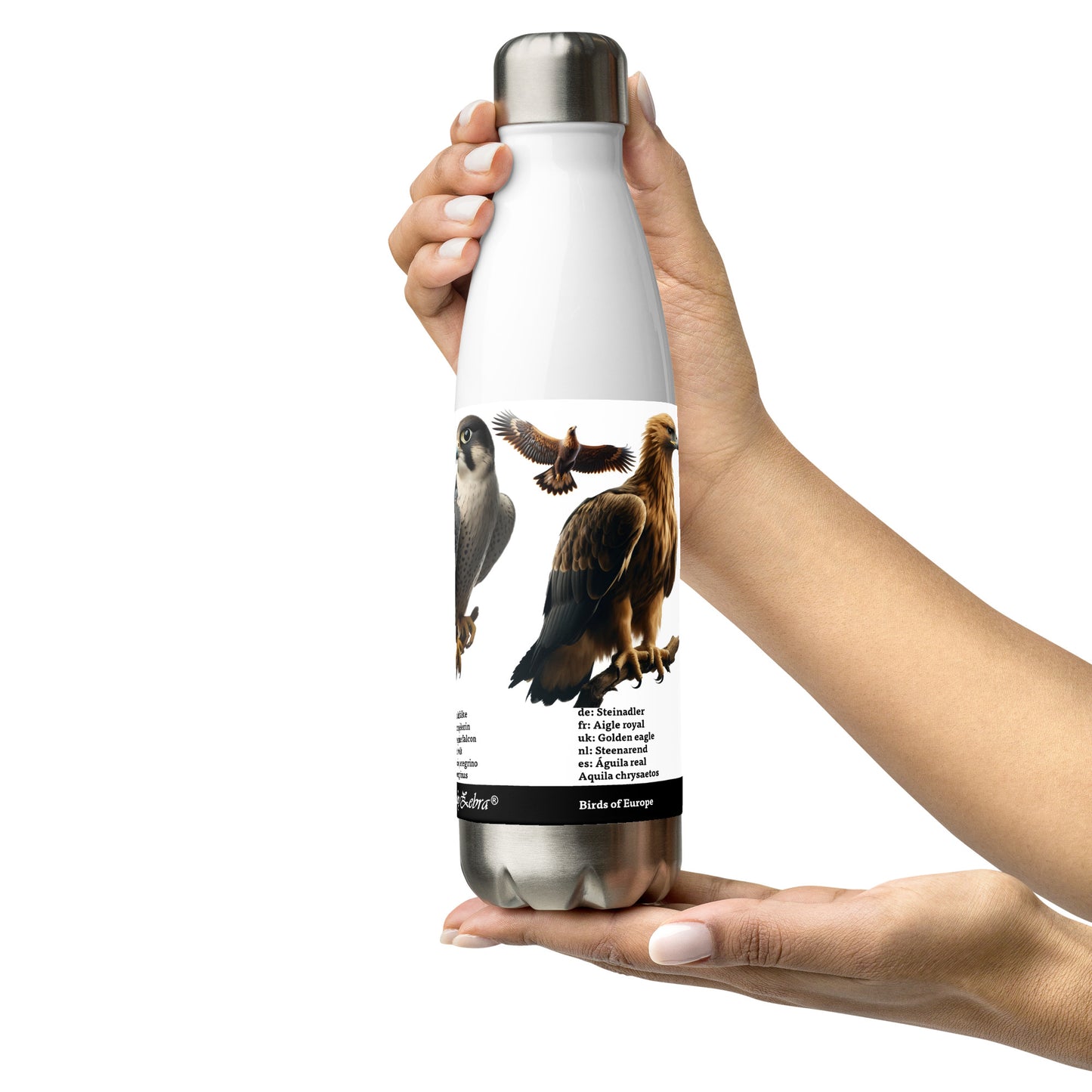 500ml Stainless steel water bottle Birds of Europe 02 Red Kite, Per. Falcon, Golden Eagle