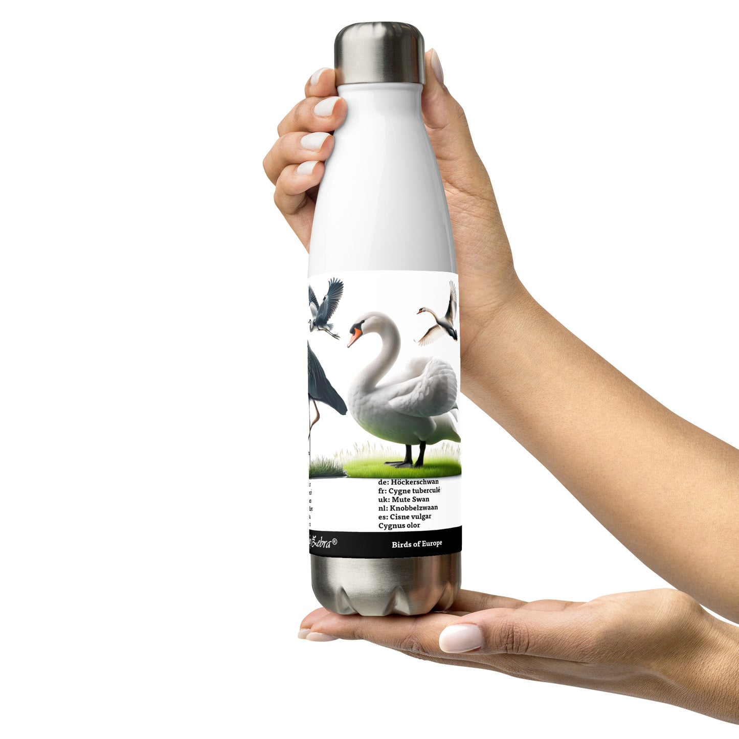 500ml Stainless steel water bottle Birds of Europe 03 White Stork, Grey Heron, Mute Swan