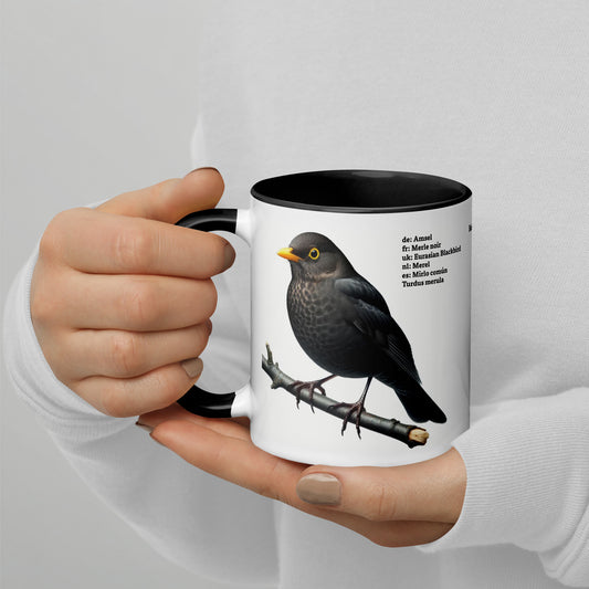 320ml Mug with Colour Inside Birds of Europe 03 Blackbird & Robin