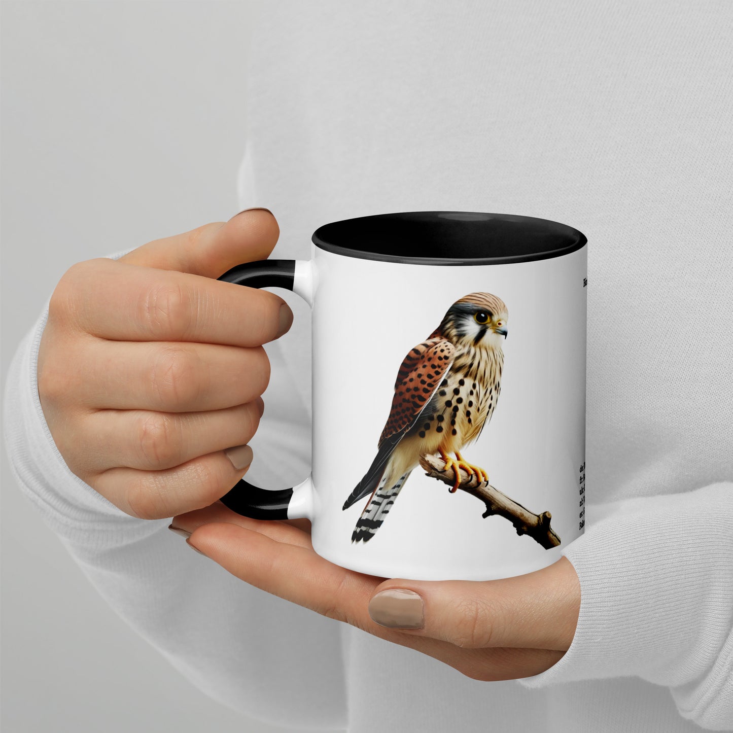 320ml Mug with Colour Inside Birds of Europe 08 Turmfalke