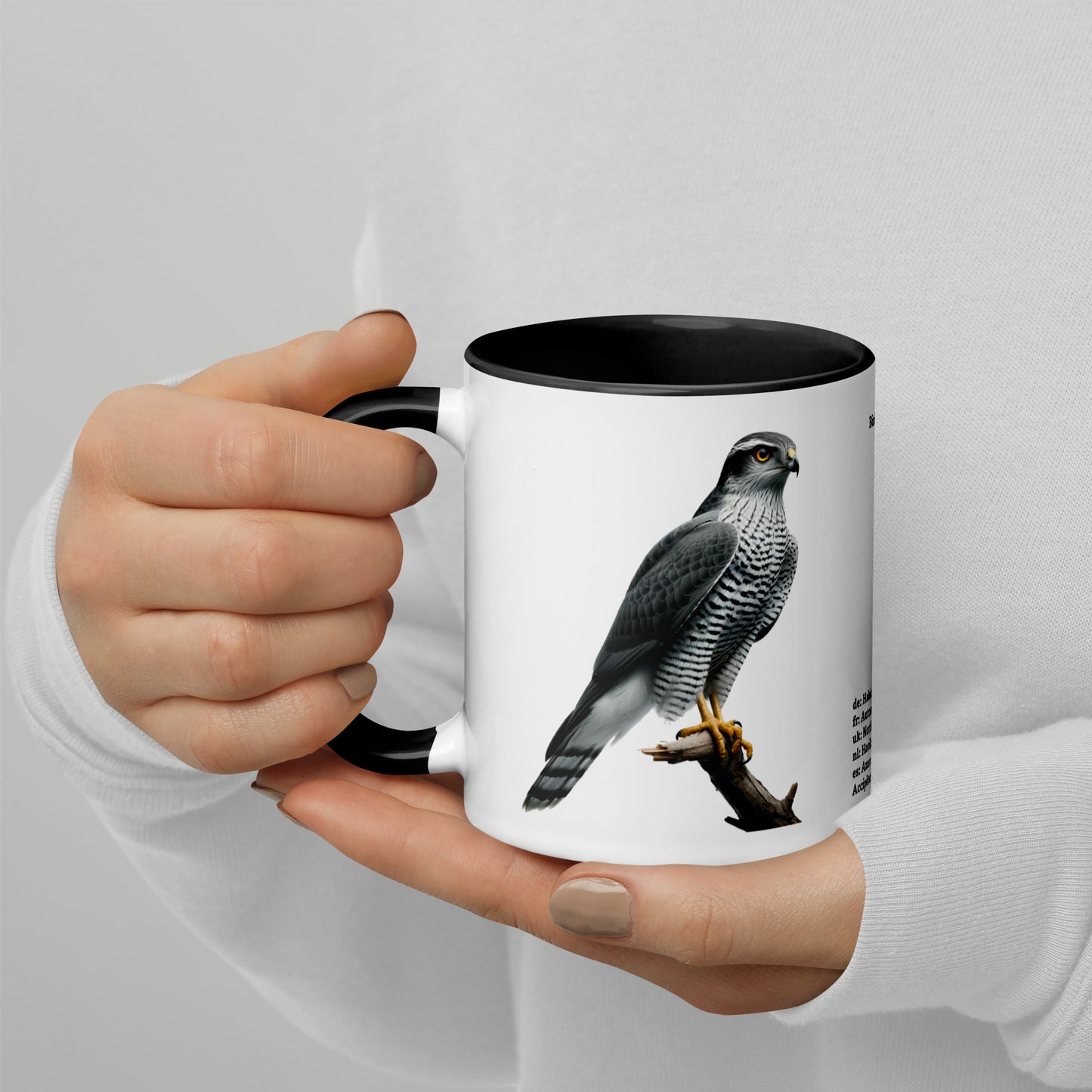 320ml Mug with Colour Inside Birds of Europe 09 Habicht