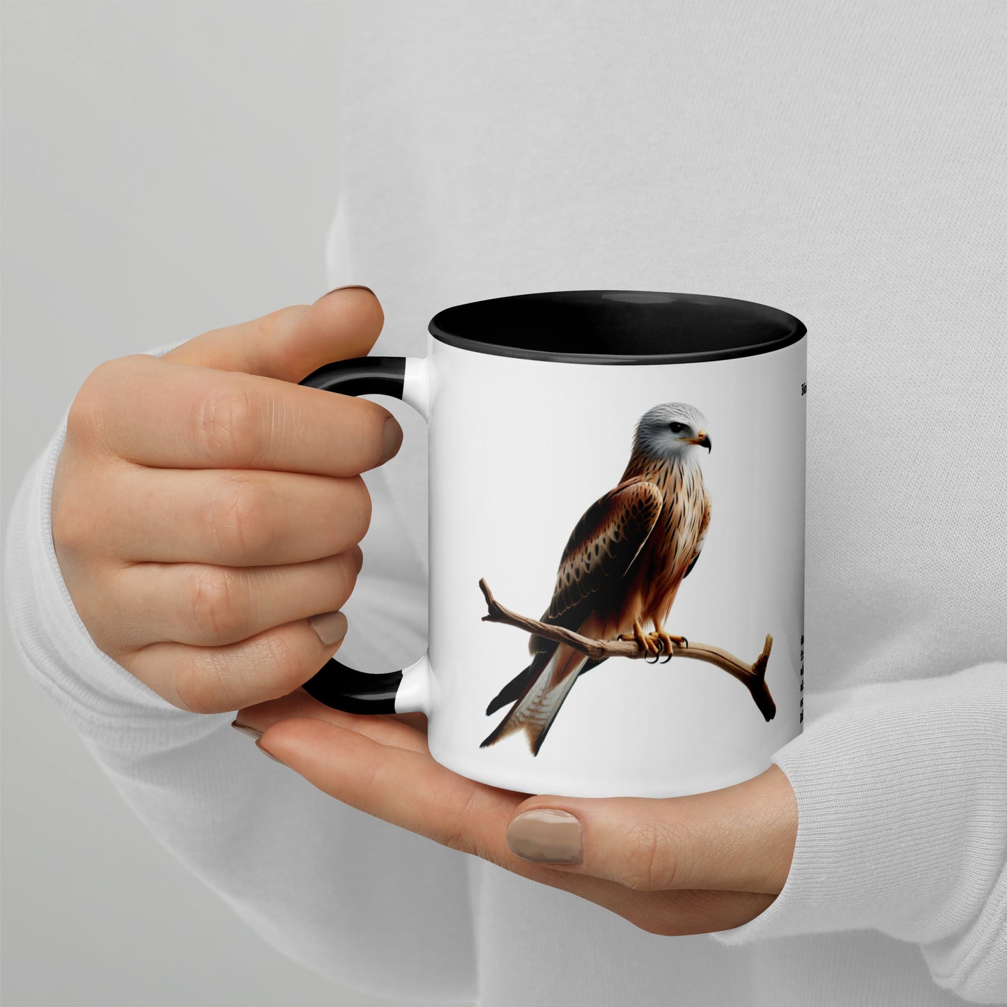 320ml Mug with Colour Inside Birds of Europe 10 Red Kite