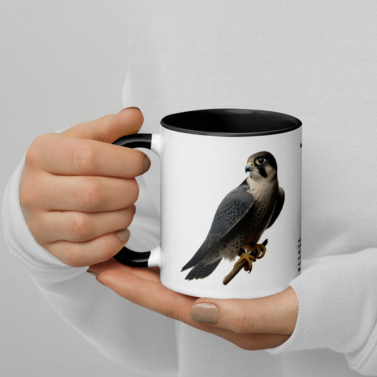 320ml Mug with Colour Inside Birds of Europe 11 Wanderfalke