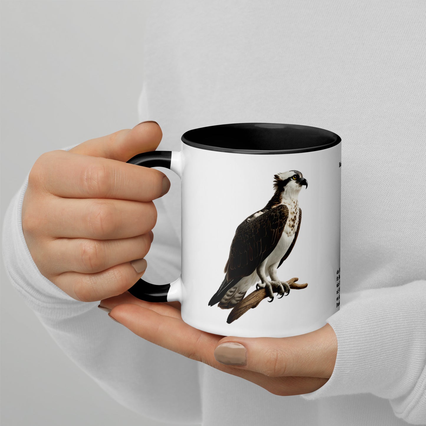 320ml Mug with Colour Inside Birds of Europe 13 Fischadler