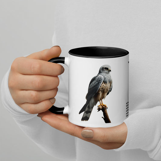 320ml Mug with Colour Inside Birds of Europe 14 Kornweihe