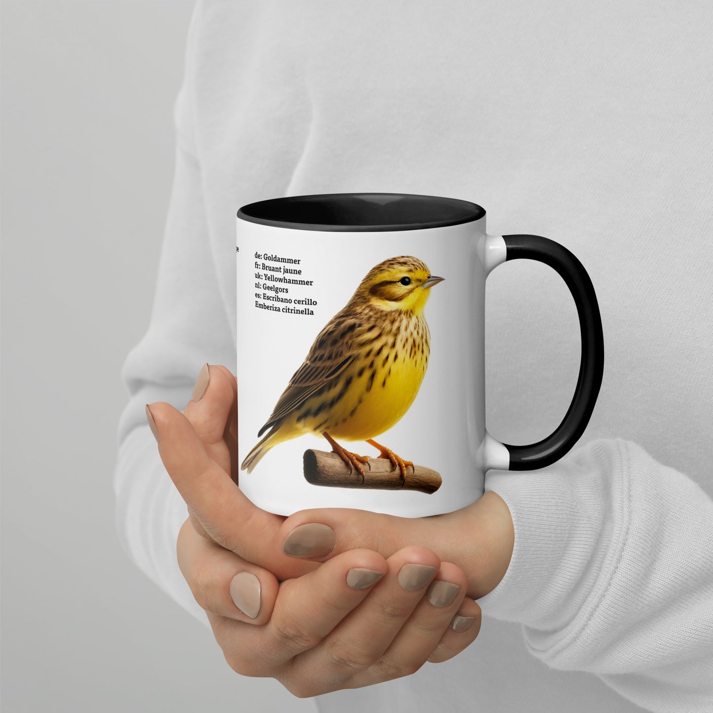 320ml Mug with Colour Inside Birds of Europe 05 White wagtail & Yellowhammer