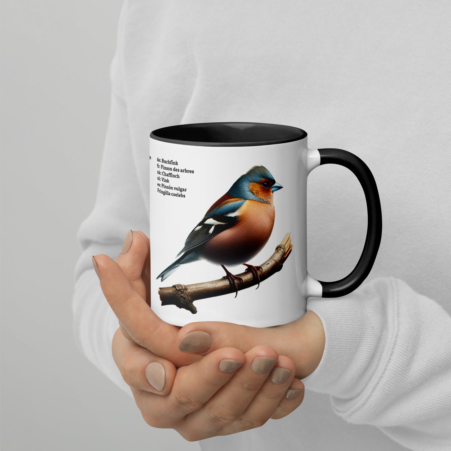 320ml Mug with Colour Inside Birds of Europe 06 Starling & Chaffinch