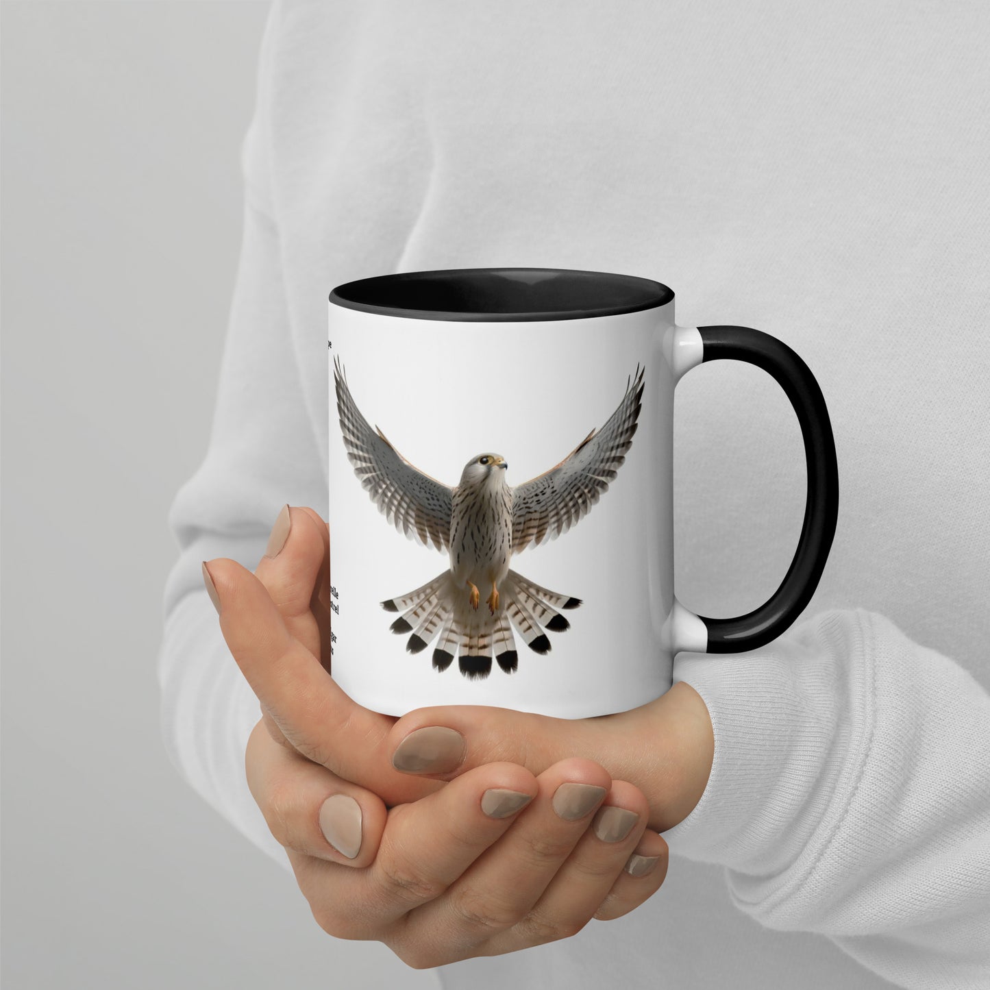 320ml Mug with Colour Inside Birds of Europe 08 Turmfalke