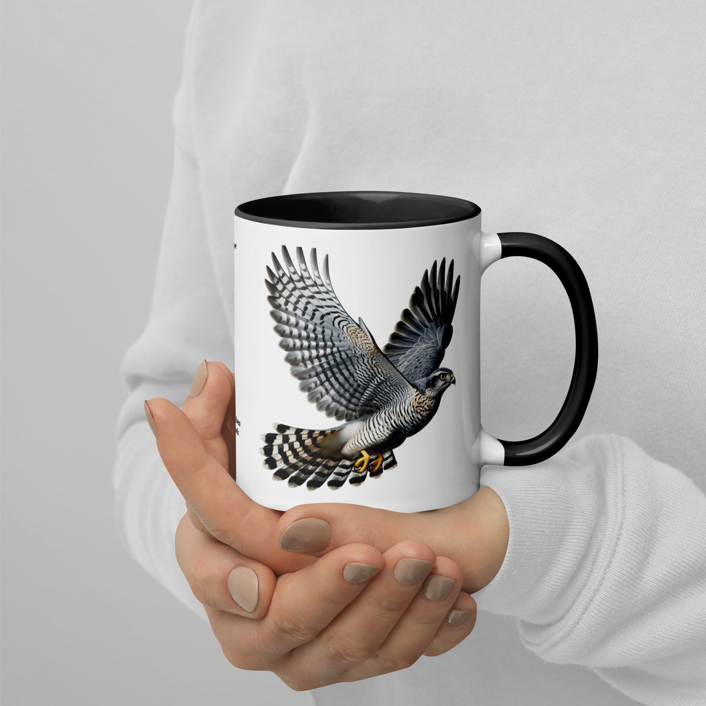 320ml Mug with Colour Inside Birds of Europe 09 Habicht