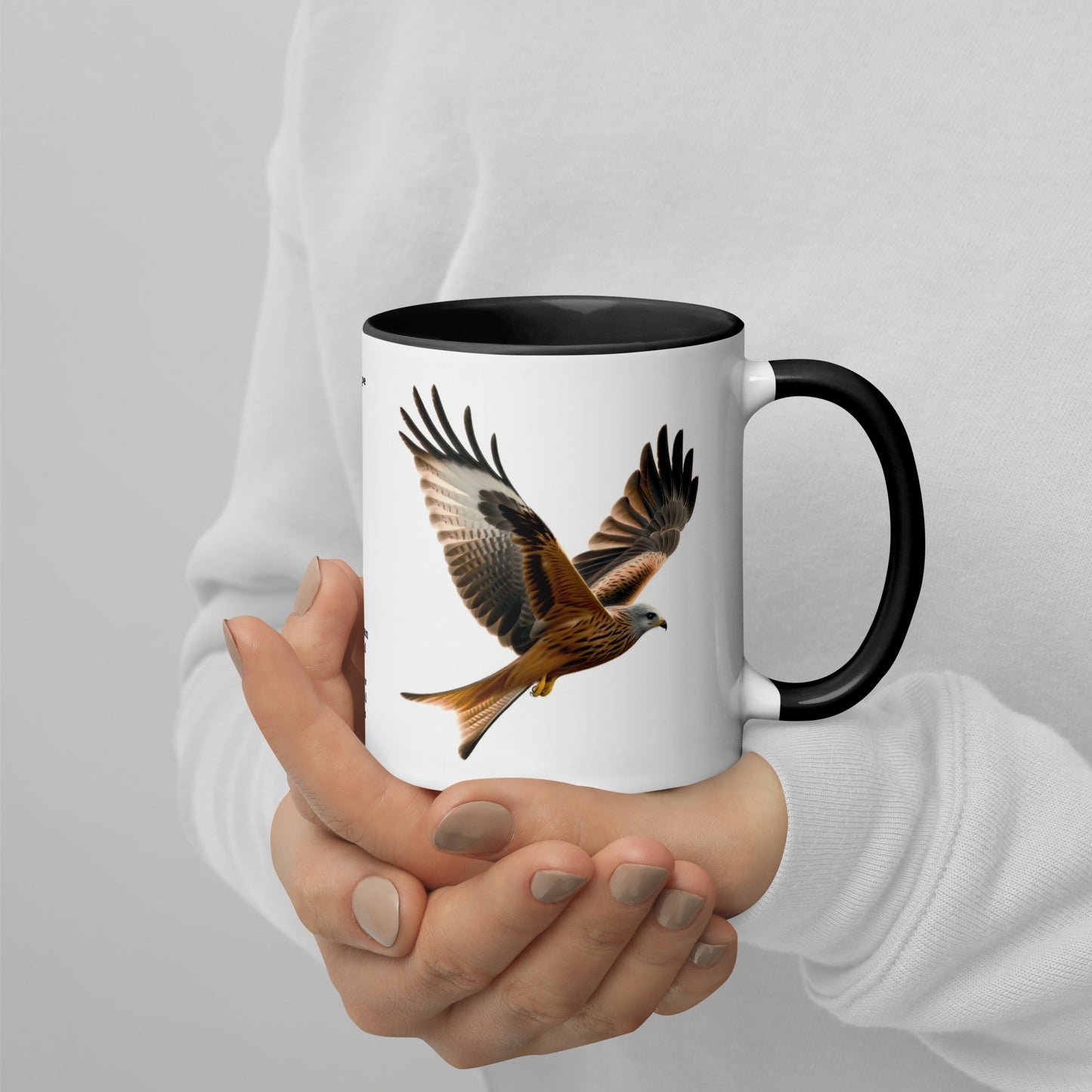 320ml Mug with Colour Inside Birds of Europe 10 Red Kite