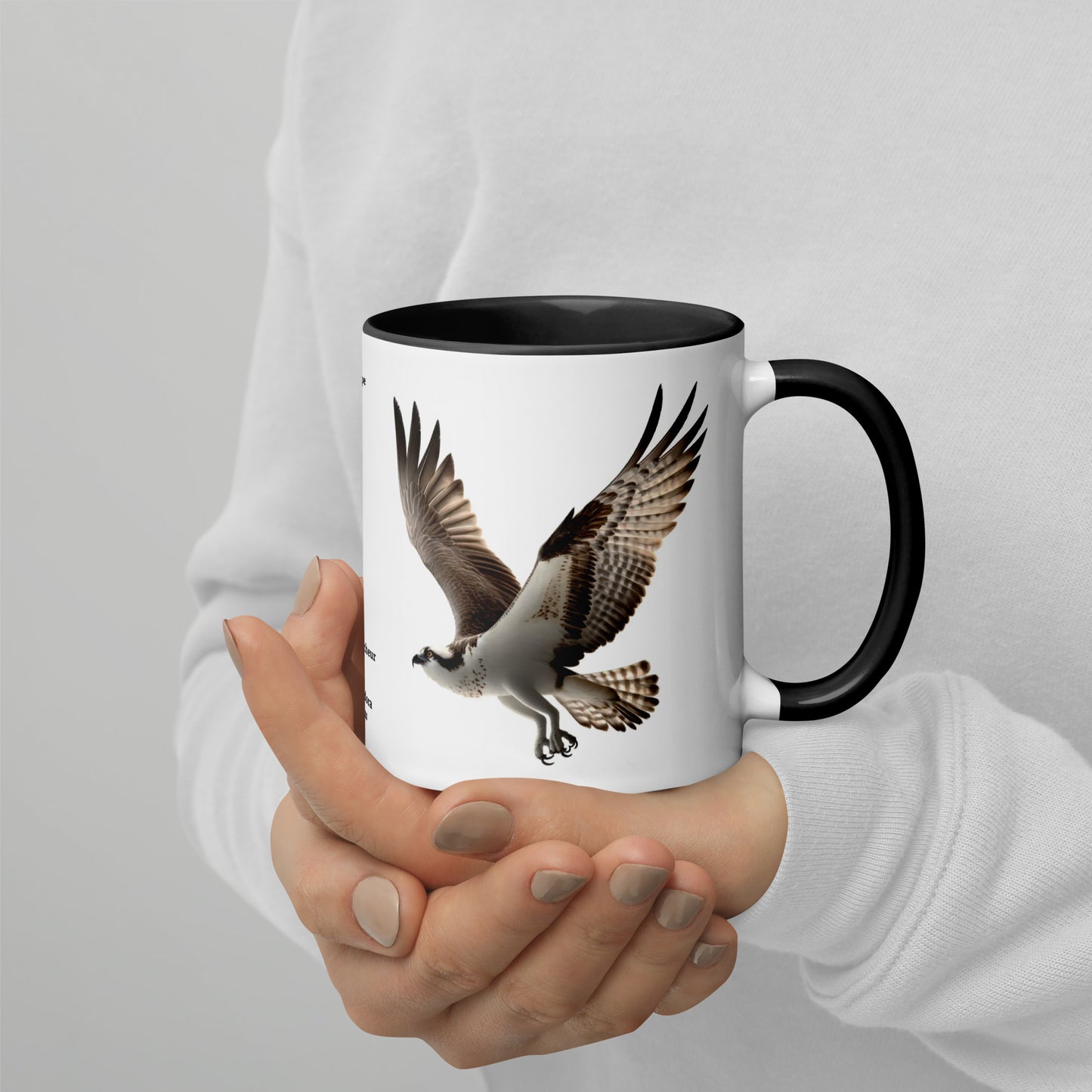 320ml Mug with Colour Inside Birds of Europe 13 Fischadler