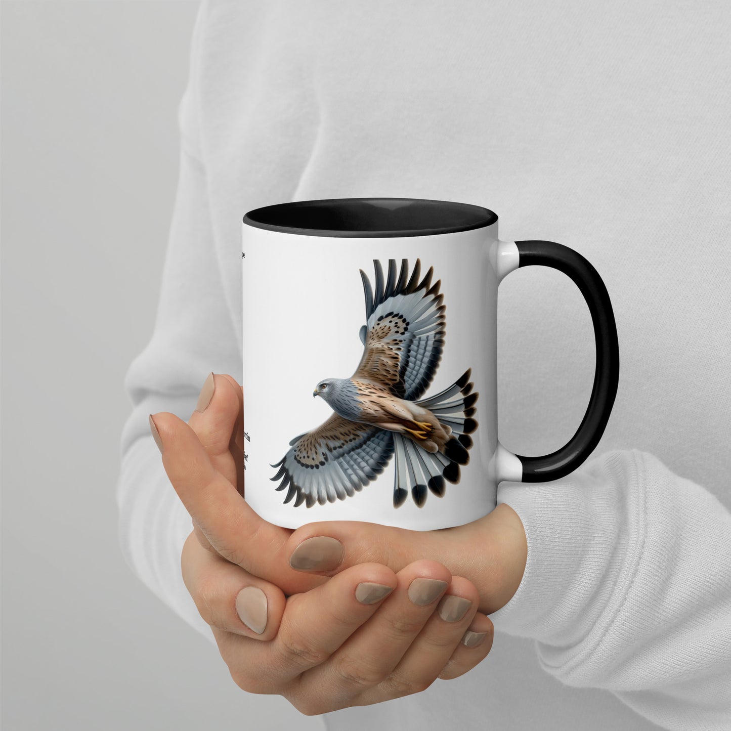 320ml Mug with Colour Inside Birds of Europe 14 Kornweihe