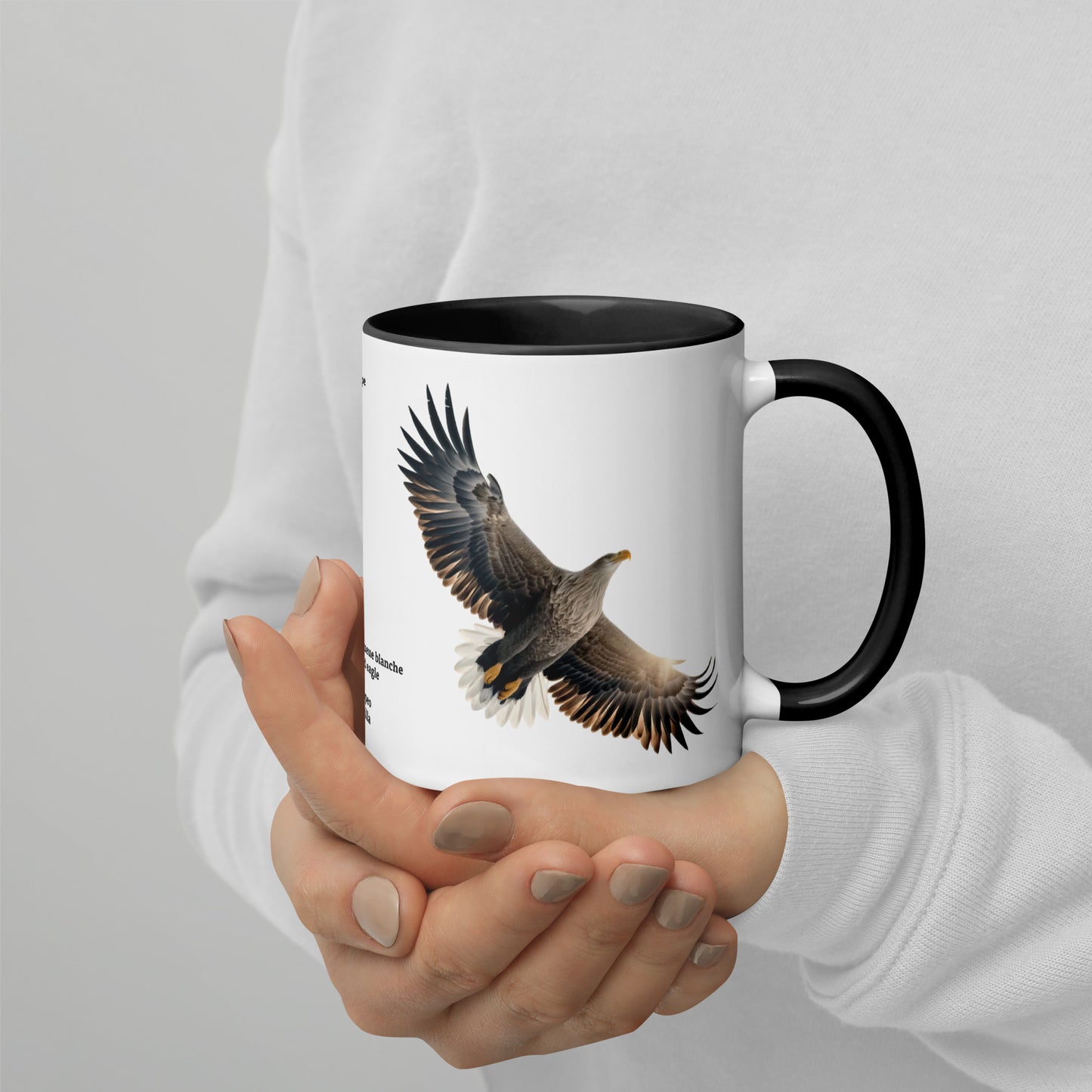 320ml Mug with Colour Inside Birds of Europe 15 Seeadler