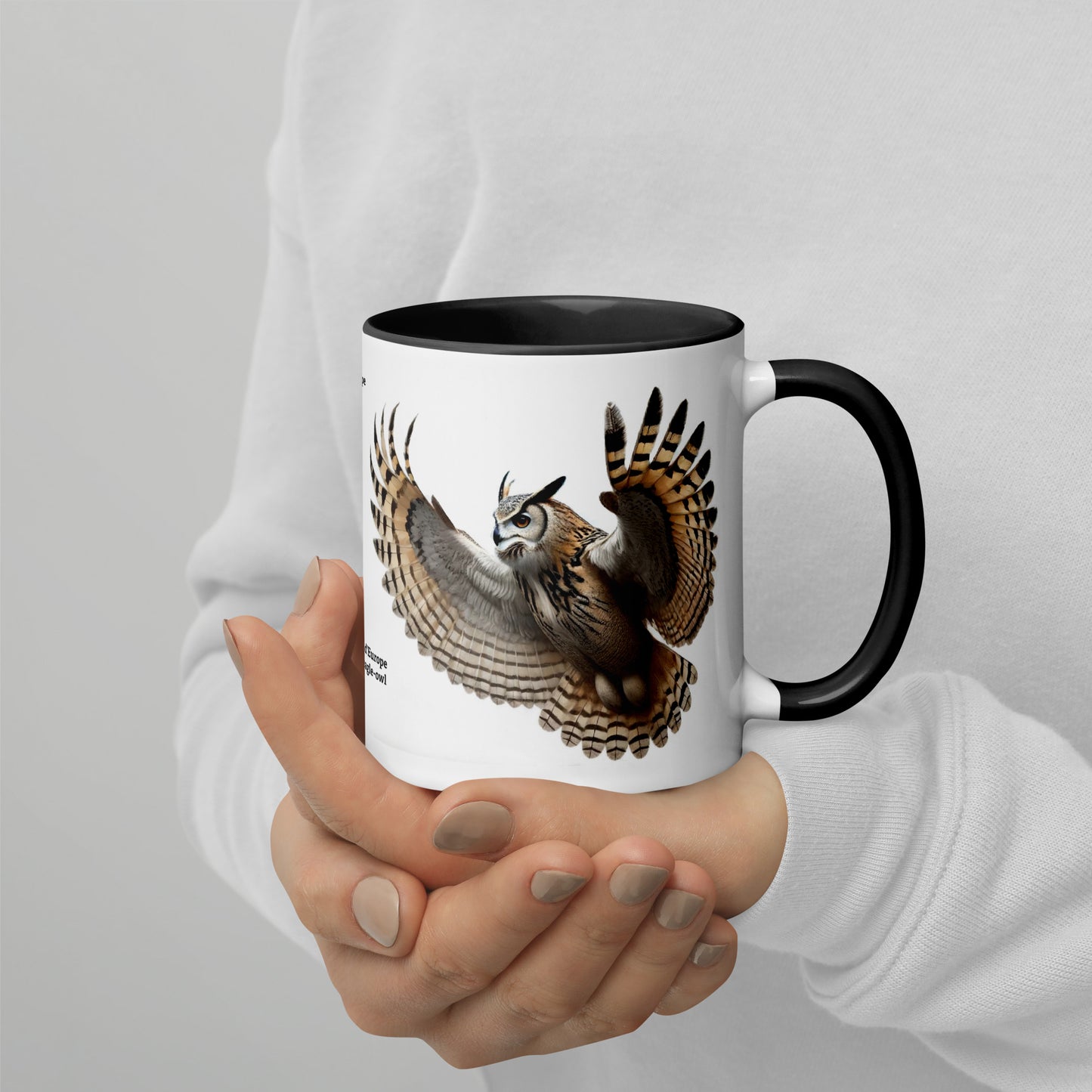 320ml Mug with Colour Inside Birds of Europe 18 Eagle-Owl