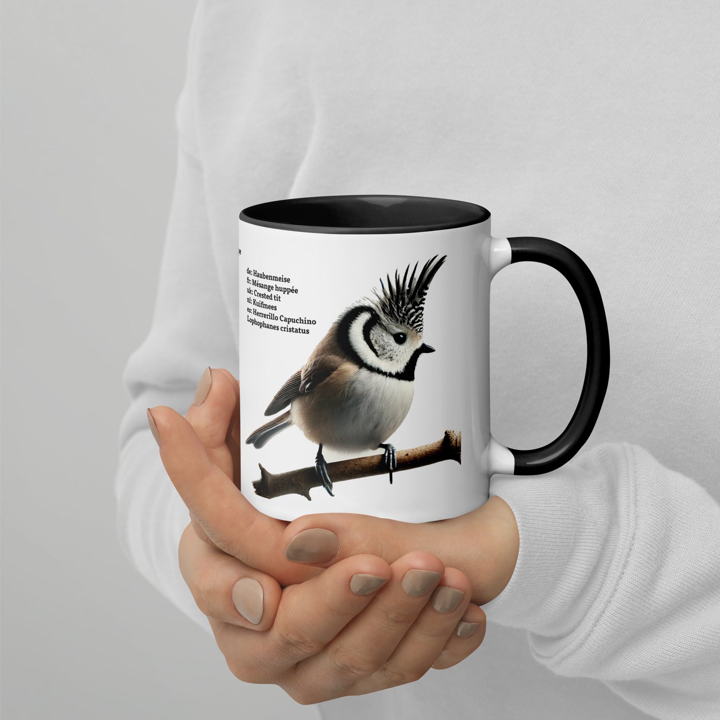 320ml Mug with Colour inside Birds of Europe 01 Sparrow & Crested Tit