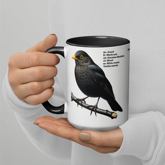 440ml Mug with colour inside Birds of Europe 03 Blackbird & Robin