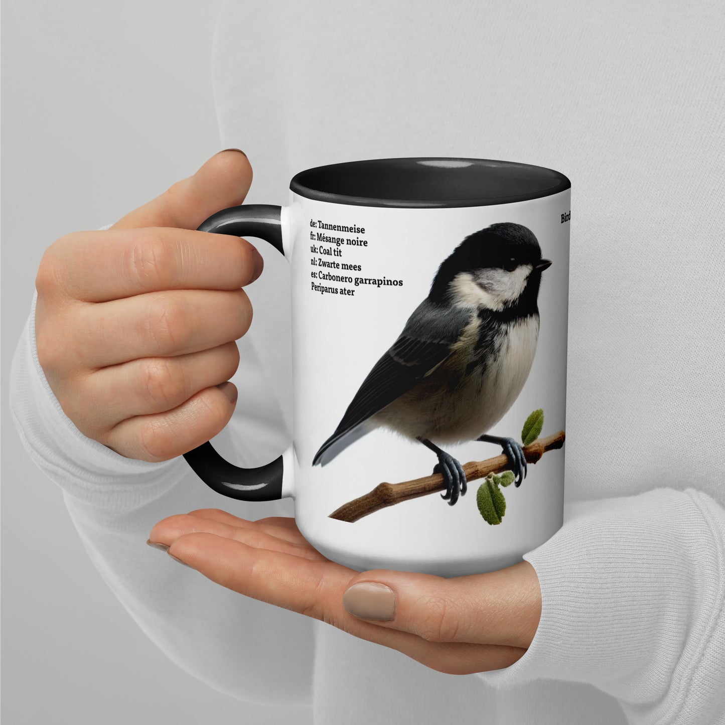 440ml Mug with colour inside Birds of Europe 04 Coal Tit & Collared Dove