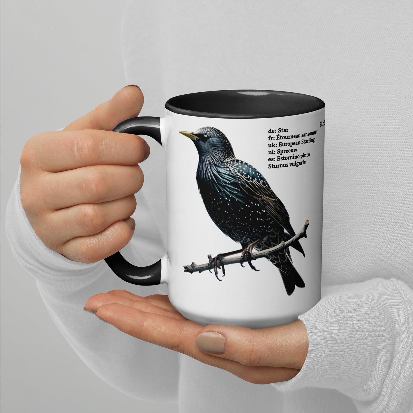 440ml Mug with colour inside Birds of Europe 06 Starling & Chaffinch