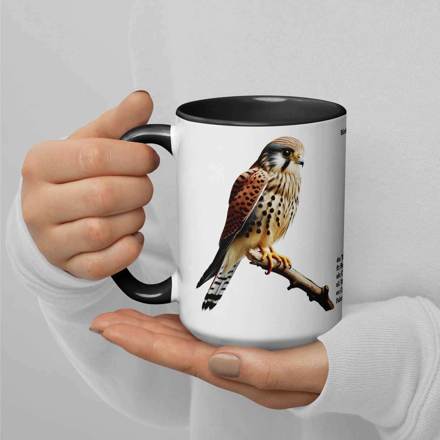 440ml Mug with colour inside Birds of Europe 08 Kestrel