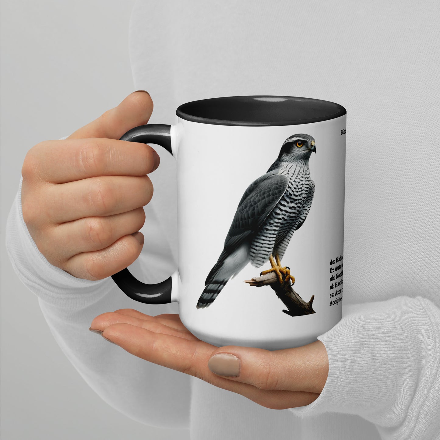 440ml Mug with colour inside Birds of Europe 09 Northern Goshawk