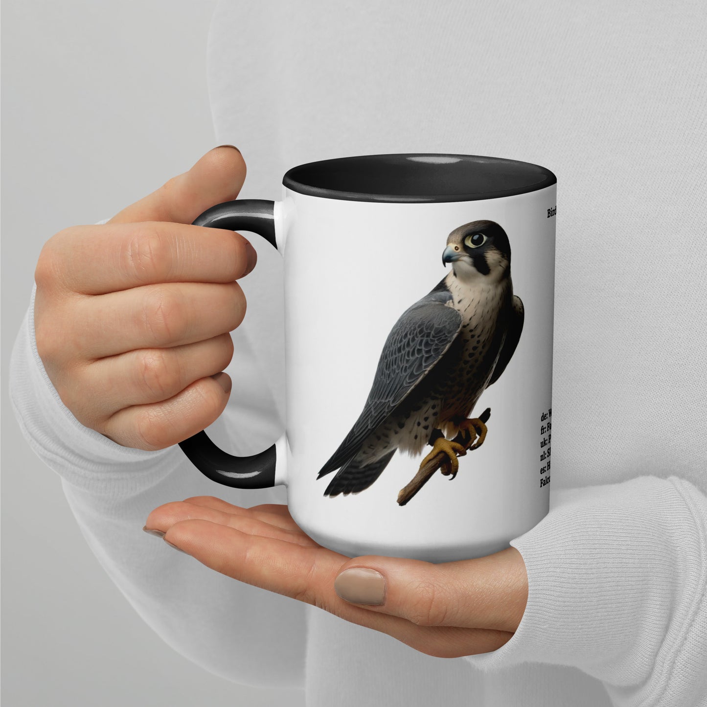 440ml Mug with colour inside Birds of Europe 11 Peregrine falcon