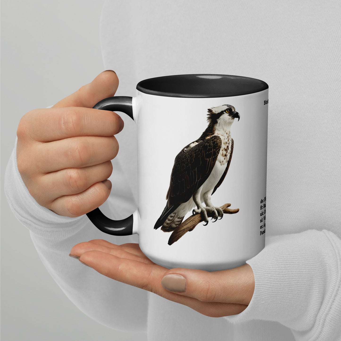 440ml Mug with colour inside Birds of Europe 13 Osprey