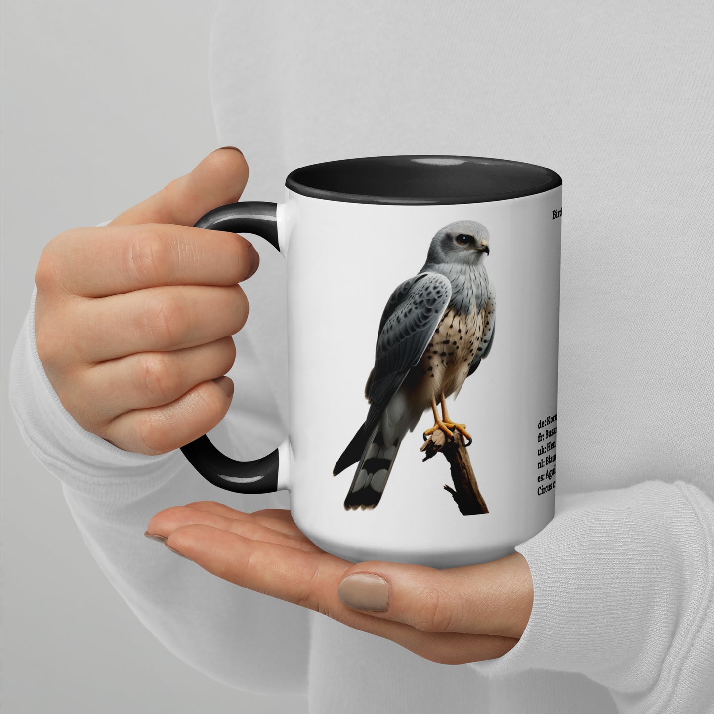 440ml Mug with colour inside Birds of Europe 14 Hen Harrier