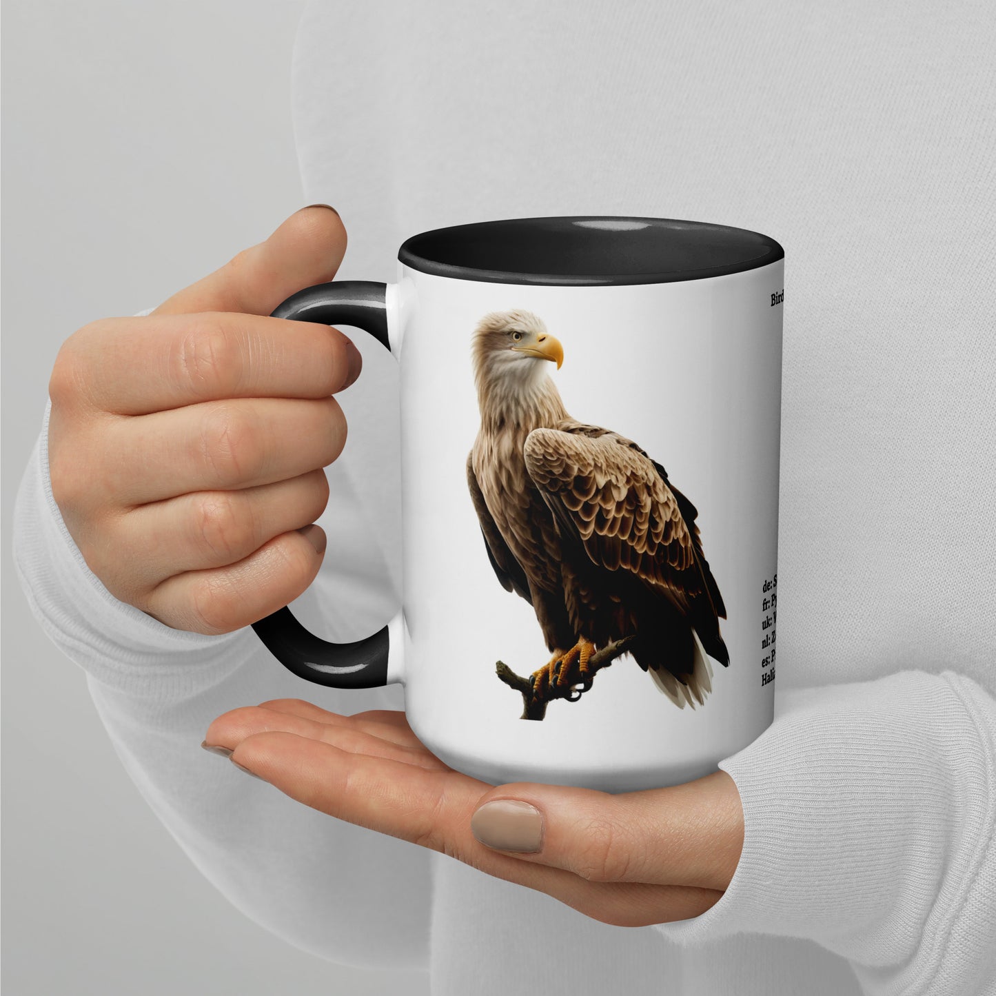 440ml Mug with colour inside Birds of Europe 15 White-tailed eagle