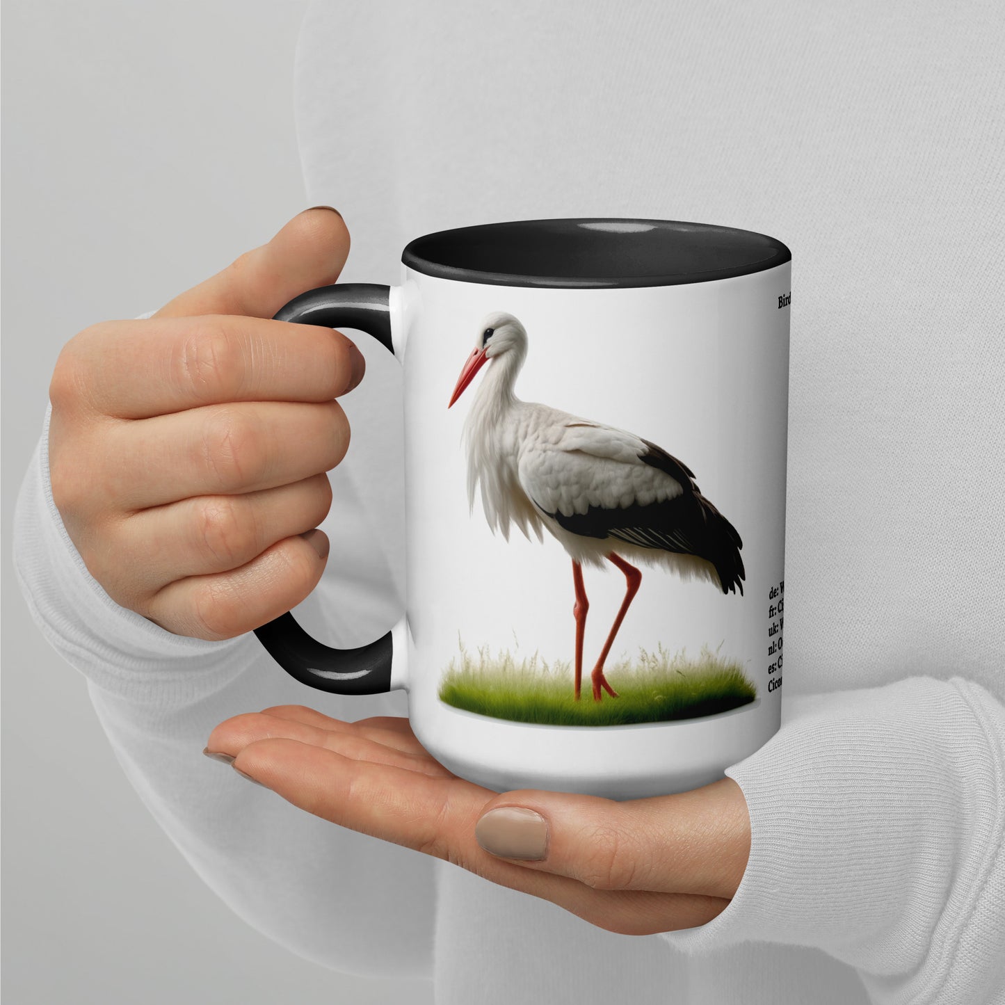 440ml Mug with colour inside Birds of Europe 16 White stork