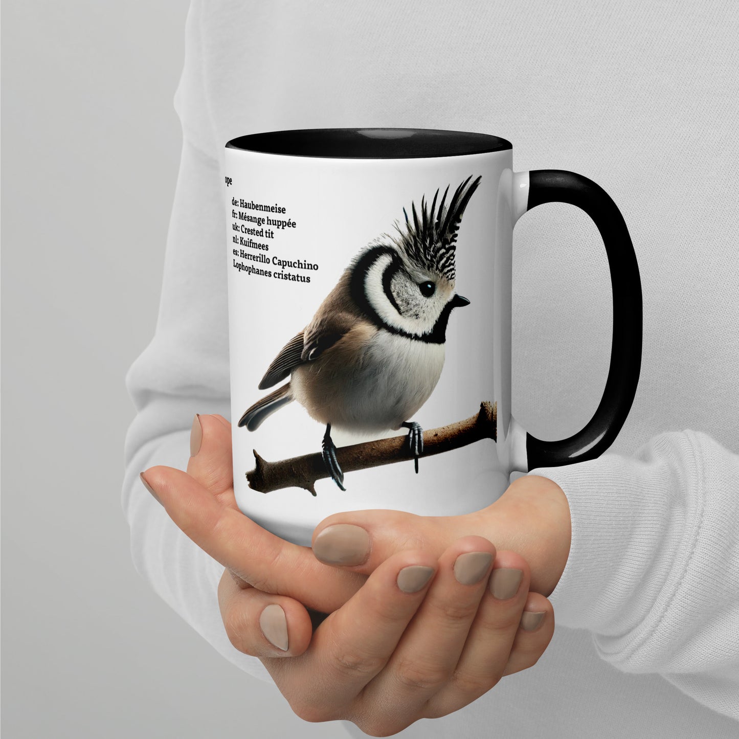 440ml Mug with colour inside Birds of Europe 01 Sparrow & Crested Tit