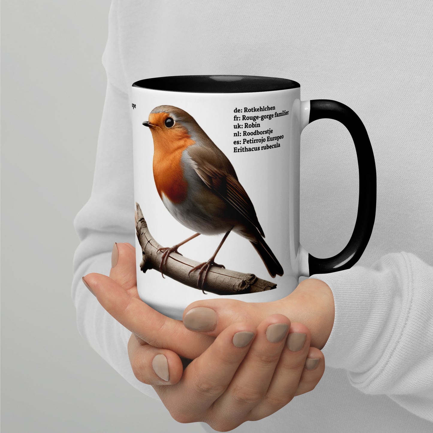 440ml Mug with colour inside Birds of Europe 03 Blackbird & Robin