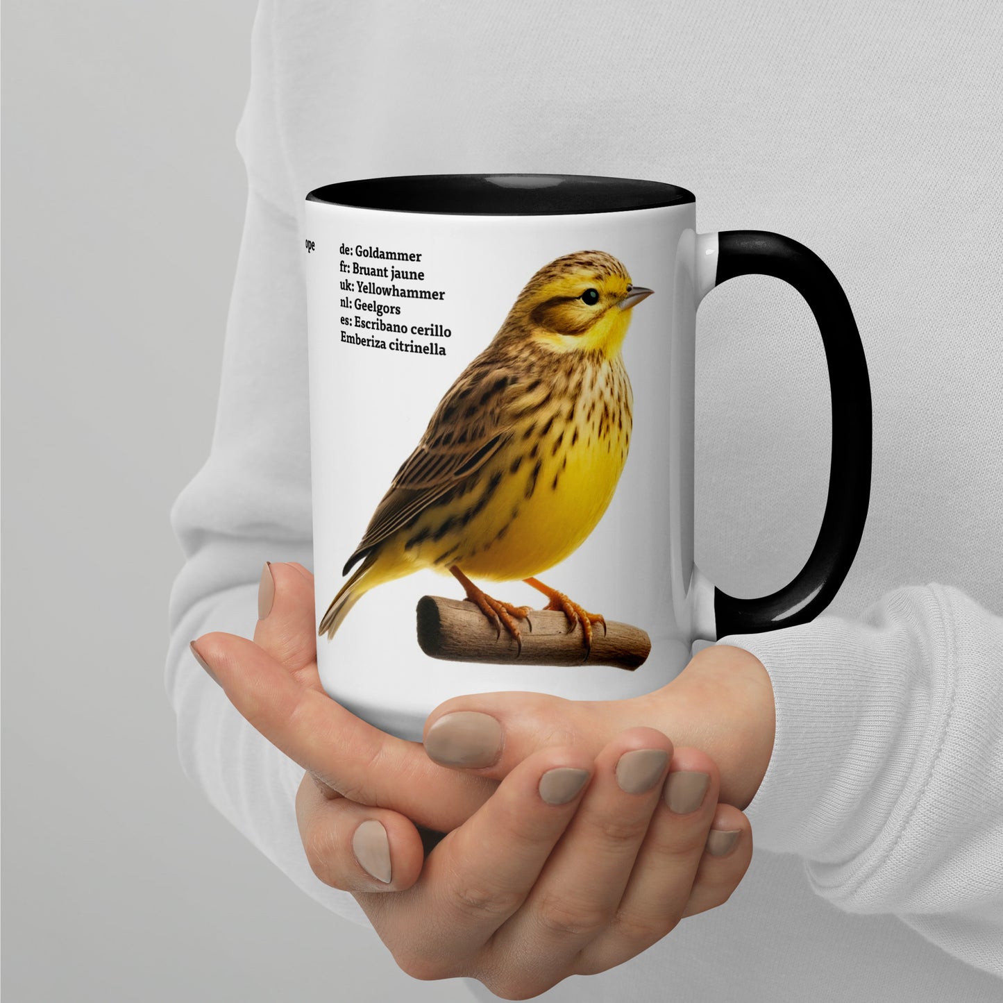 440ml Mug with colour inside Birds of Europe 05 White wagtail & Yellowhammer