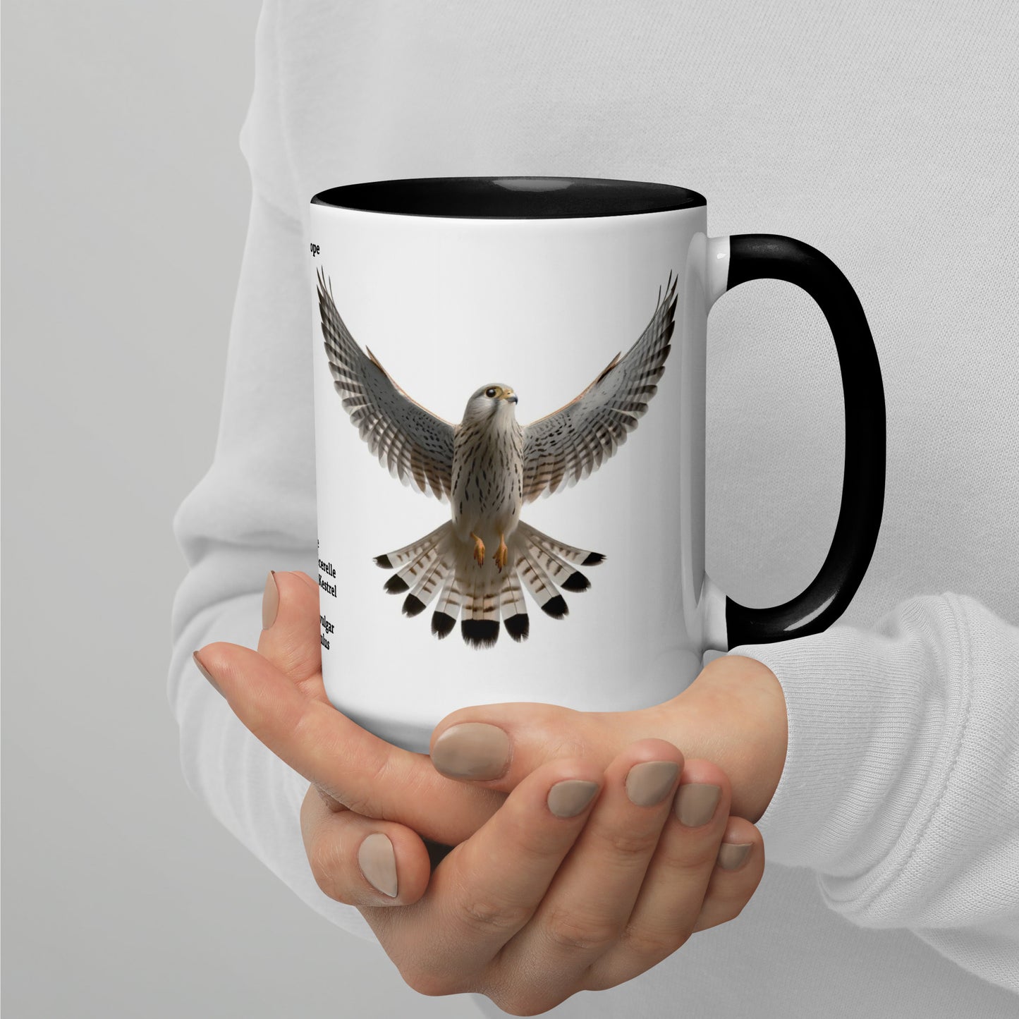 440ml Mug with colour inside Birds of Europe 08 Kestrel