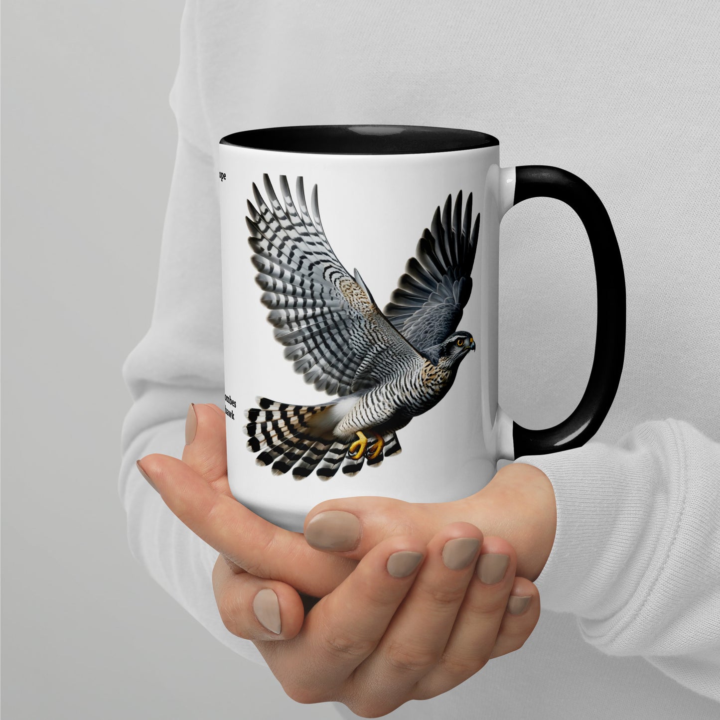 440ml Mug with colour inside Birds of Europe 09 Northern Goshawk