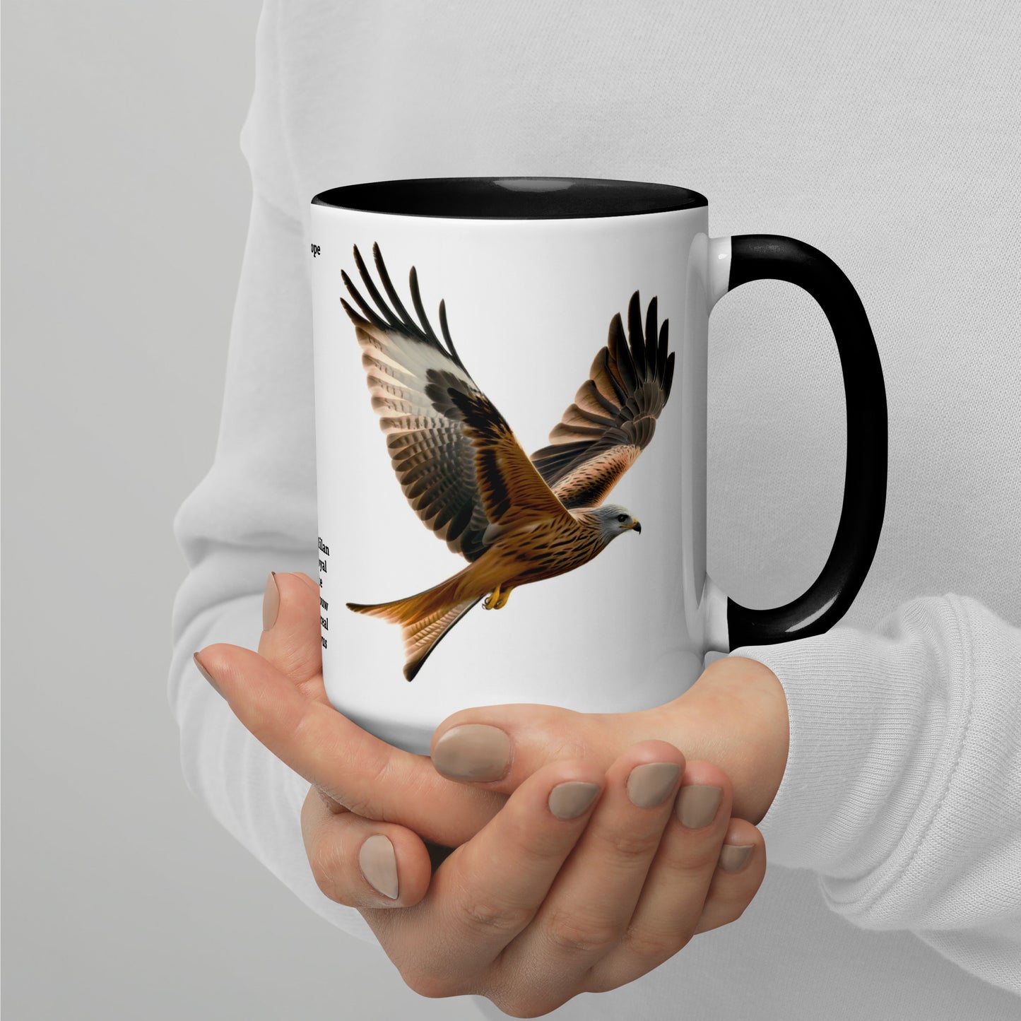 440ml Mug with colour inside Birds of Europe 10 Red Kite