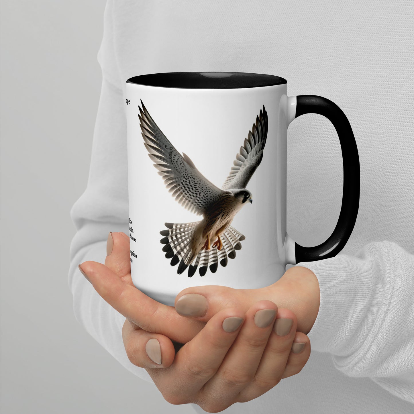 440ml Mug with colour inside Birds of Europe 11 Peregrine falcon