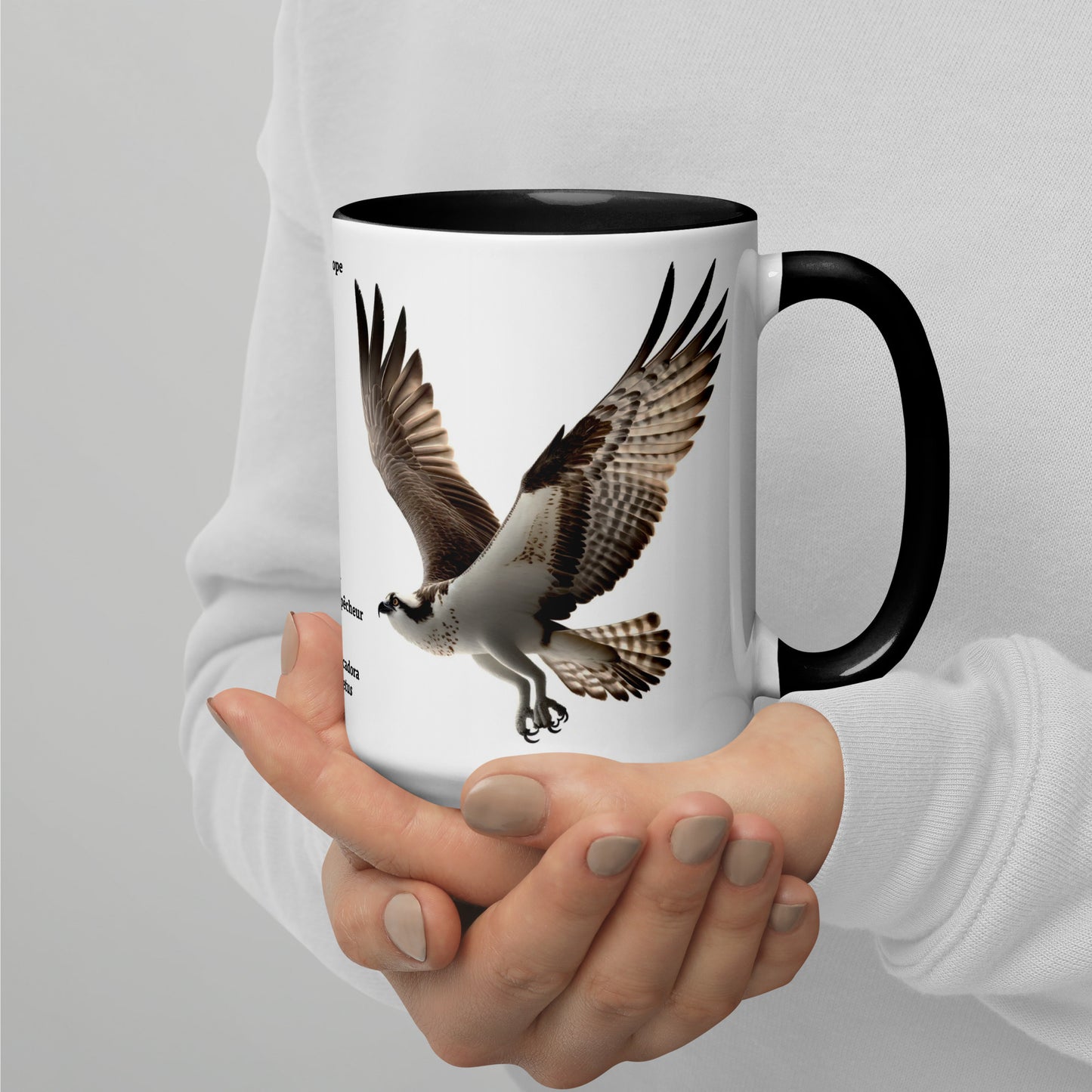 440ml Mug with colour inside Birds of Europe 13 Osprey