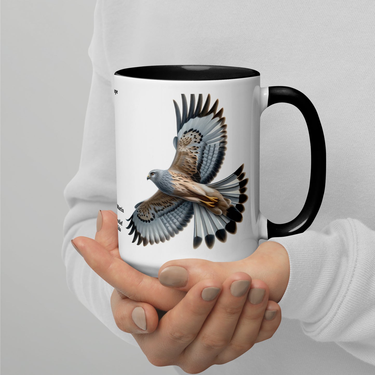 440ml Mug with colour inside Birds of Europe 14 Hen Harrier