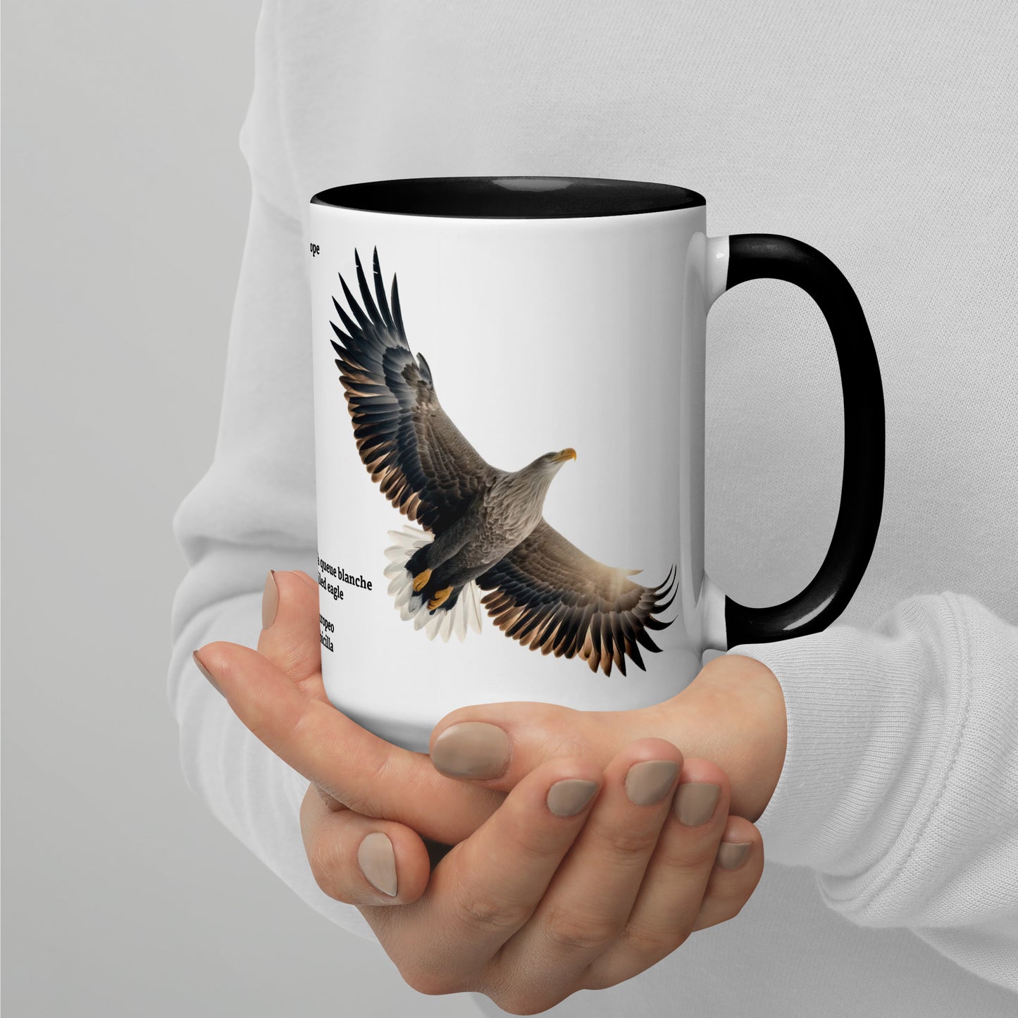 440ml Mug with colour inside Birds of Europe 15 White-tailed eagle