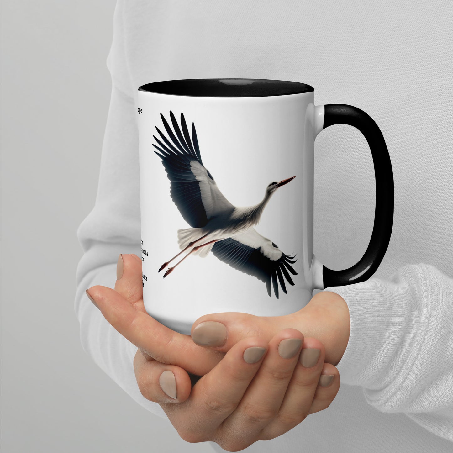 440ml Mug with colour inside Birds of Europe 16 White stork