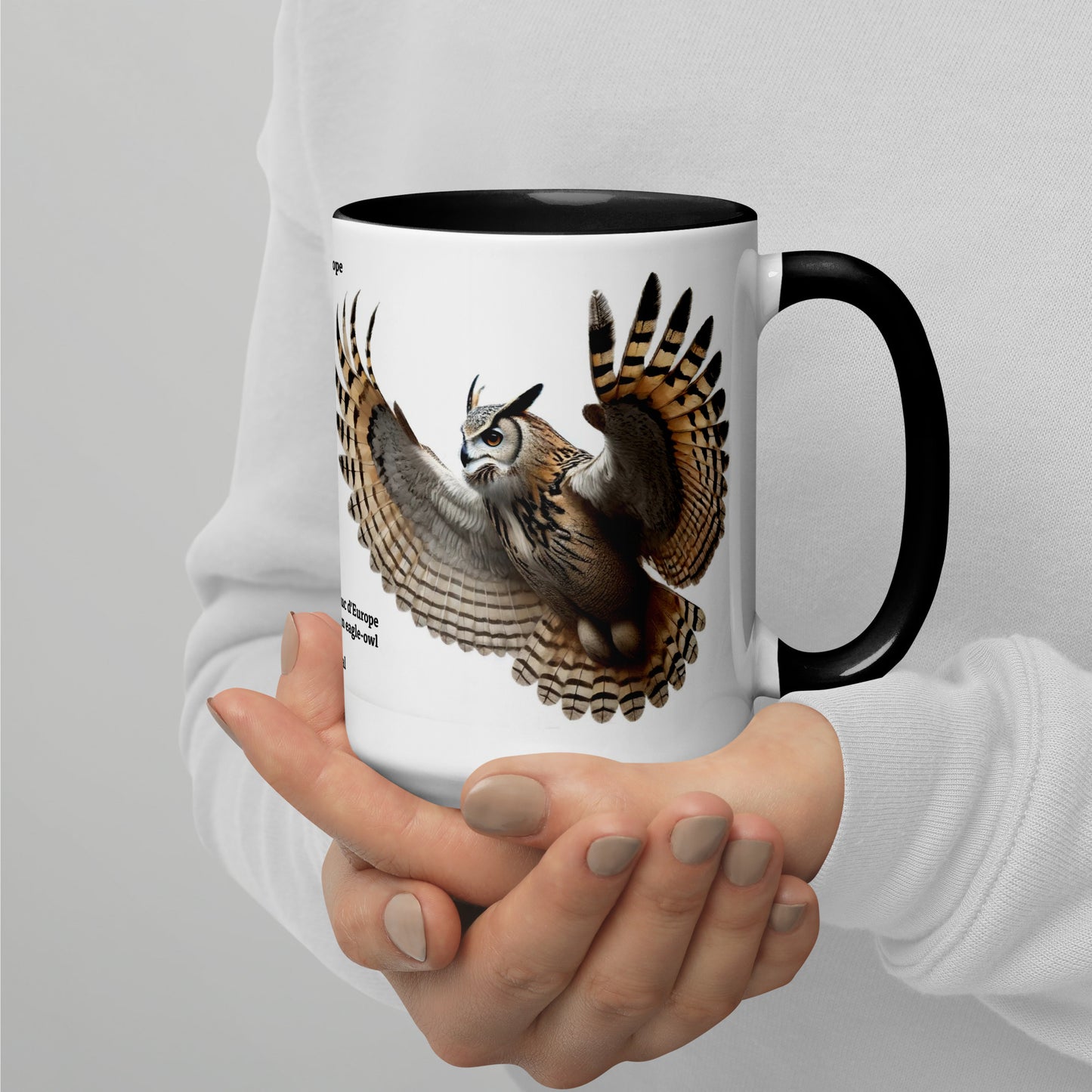 440ml Mug with colour inside Birds of Europe 18 Eagle-owl