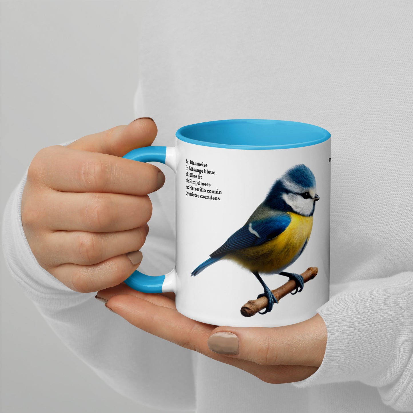 320ml Mug with Colour Inside Birds of Europe 02 Blue Tit & Great Tit