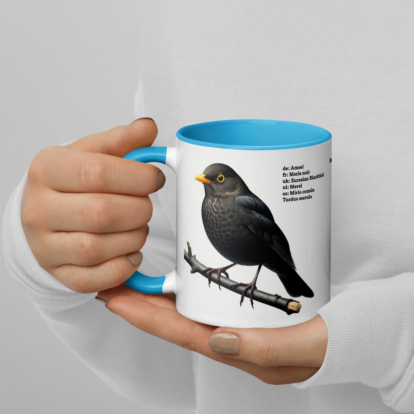 320ml Mug with Colour Inside Birds of Europe 03 Blackbird & Robin