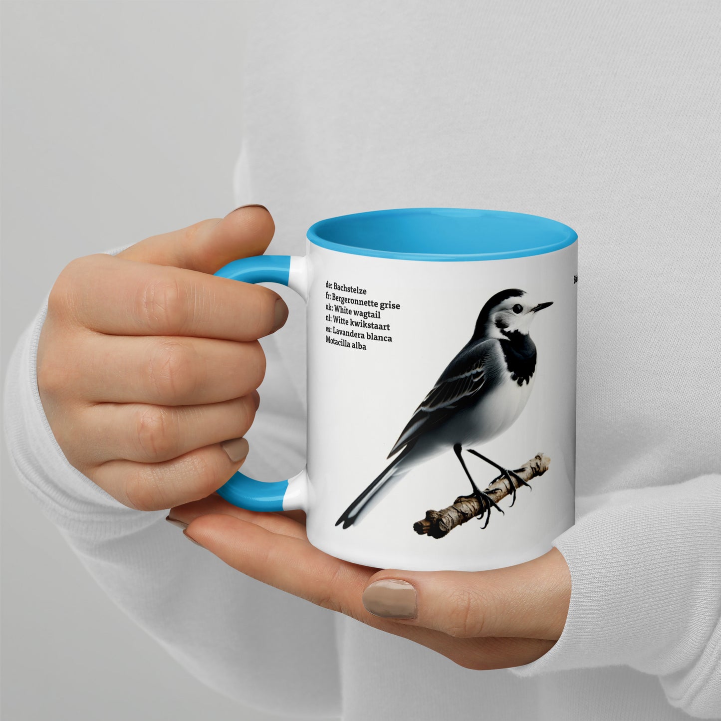 320ml Mug with Colour Inside Birds of Europe 05 White wagtail & Yellowhammer