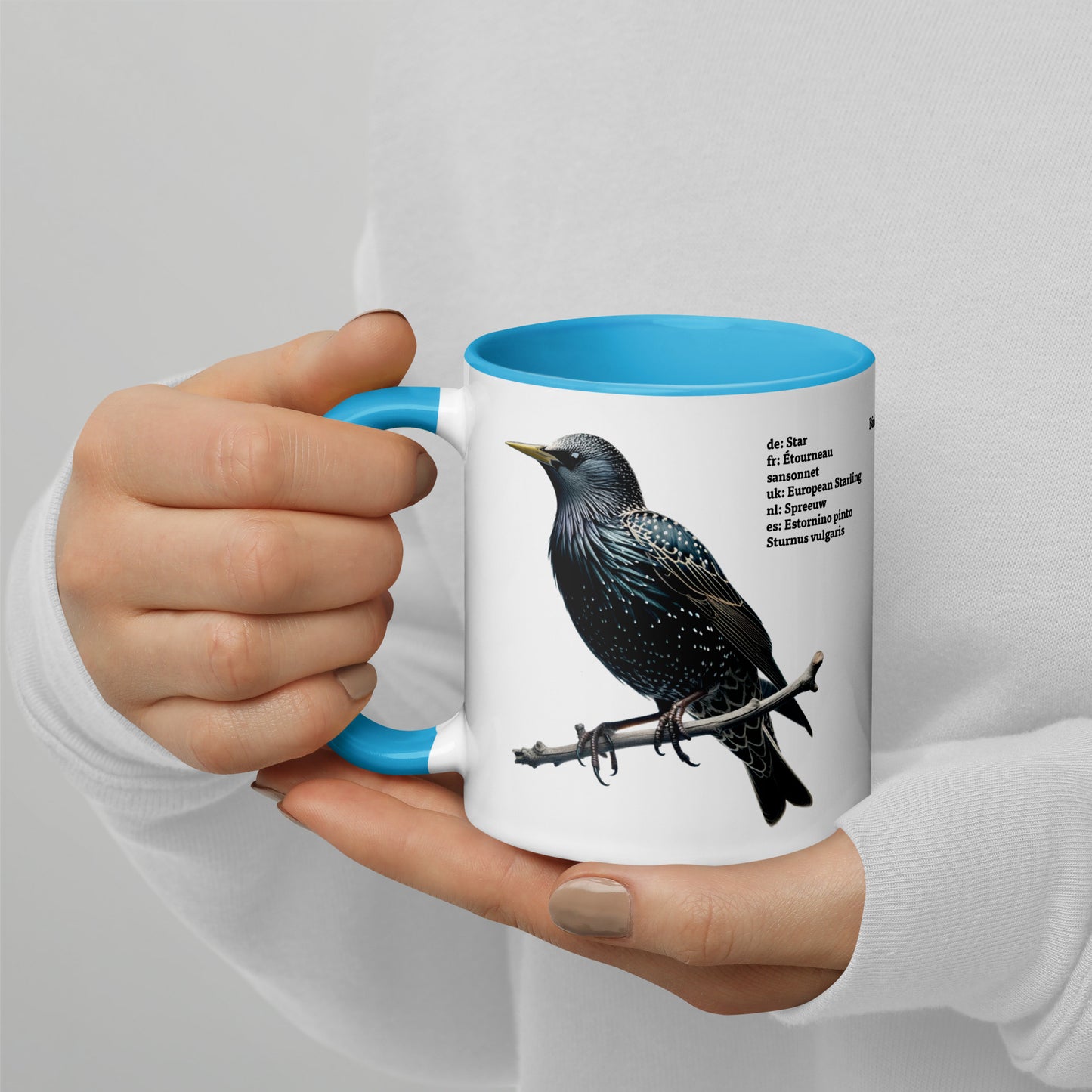 320ml Mug with Colour Inside Birds of Europe 06 Starling & Chaffinch